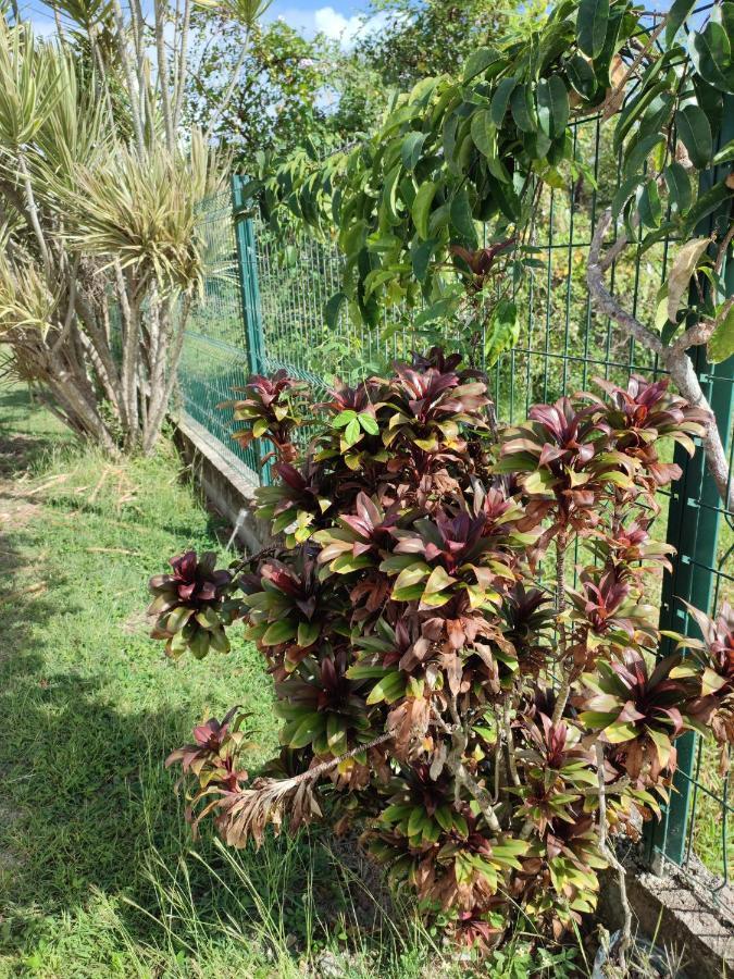 La Kaztelgood Villa Le Gosier  Luaran gambar