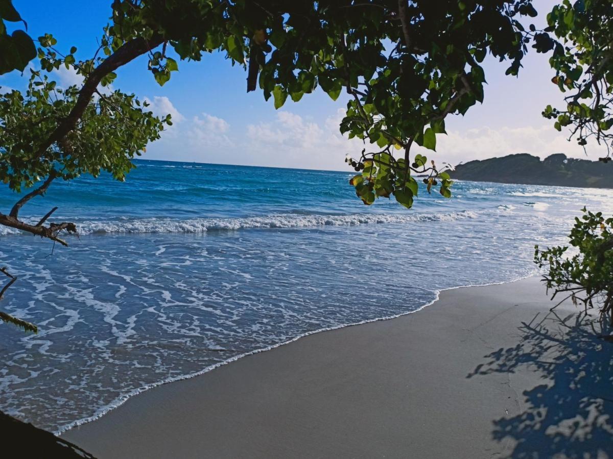 La Kaztelgood Villa Le Gosier  Luaran gambar
