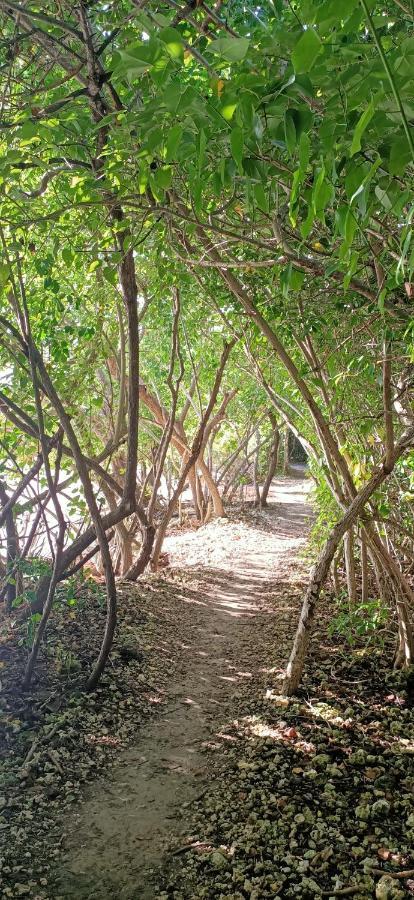 La Kaztelgood Villa Le Gosier  Luaran gambar